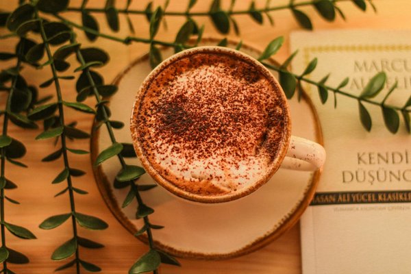 Étude de cas : Le succès de la beauté durable chez Lush